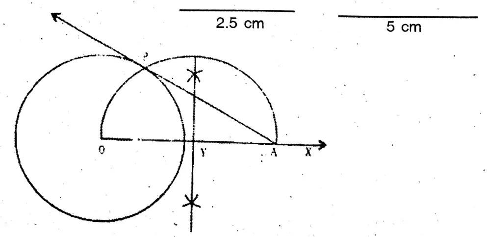 WBBSE Class 10 Model Question Paper 2023 Mathematics set 2.10