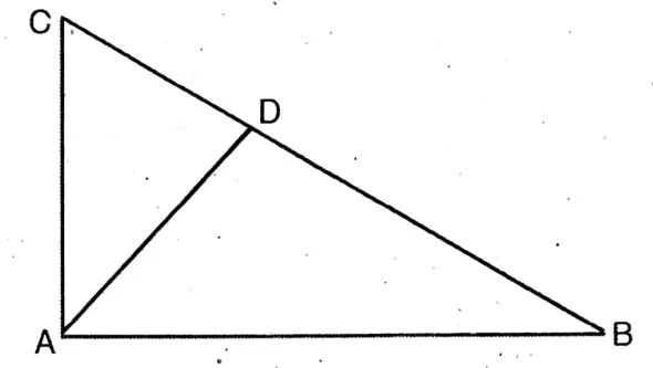 WBBSE Class 10 Model Question Paper 2023 Mathematics set 2.8