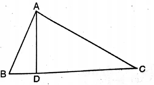 WBBSE Class 10 Model Question Paper 2023 Mathematics set 8