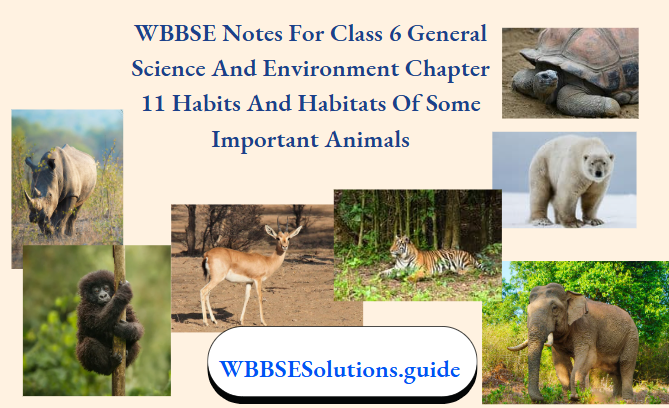 WBBSE Class 6 Habits And Habitats Notes