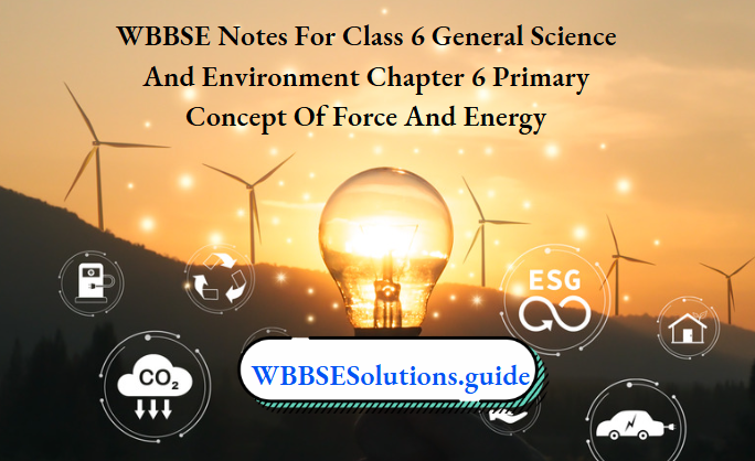 WBBSE Class 6 Science Chapter 6 Notes