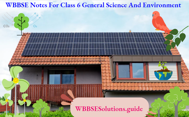 WBBSE Notes For Class 6 General Science And Environment