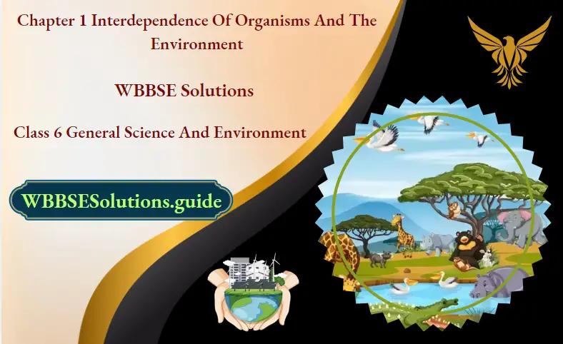 WBBSE Notes For Class 6 General Science And Environment Chapter 1 Interdependence Of Organisms And The Environment