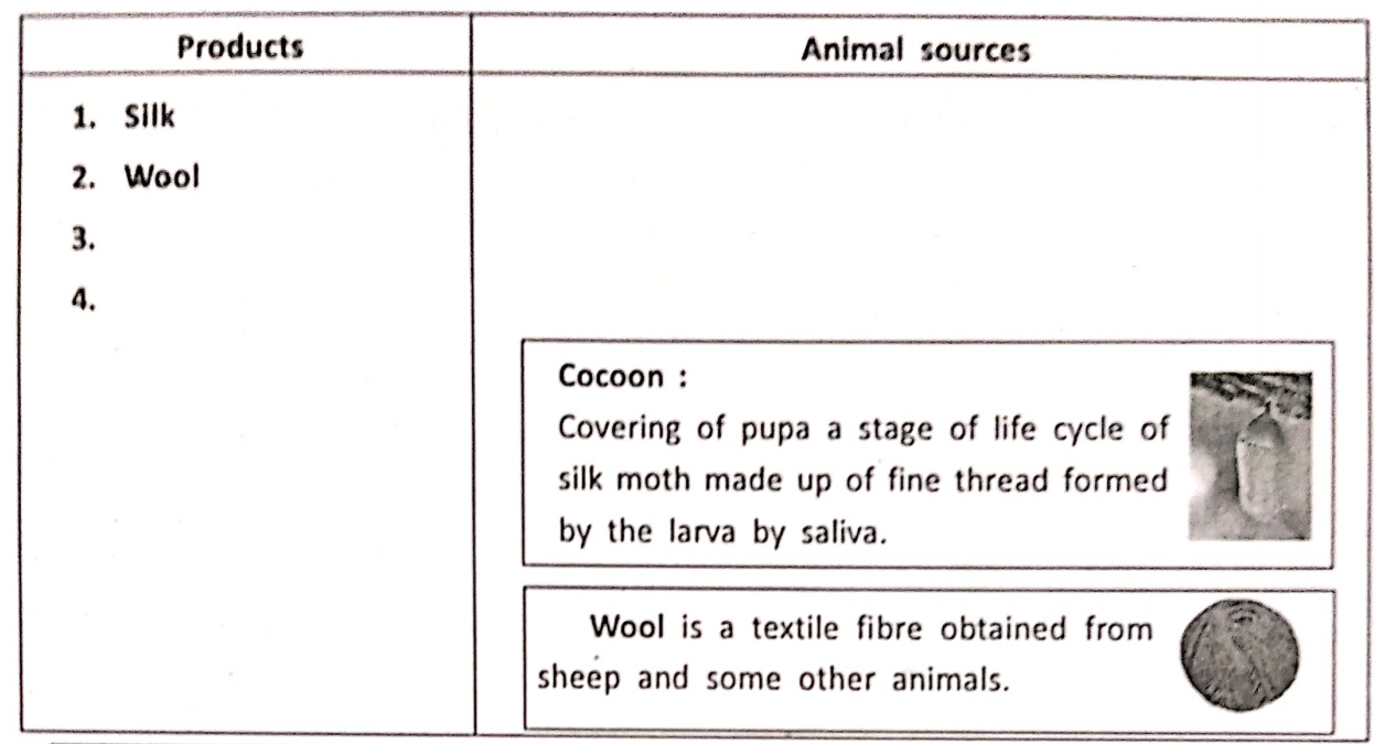 WBBSE Notes For Class 6 General Science And Environment Chapter 1 Interdependence Of Organisms And The Environment Products and animal sources