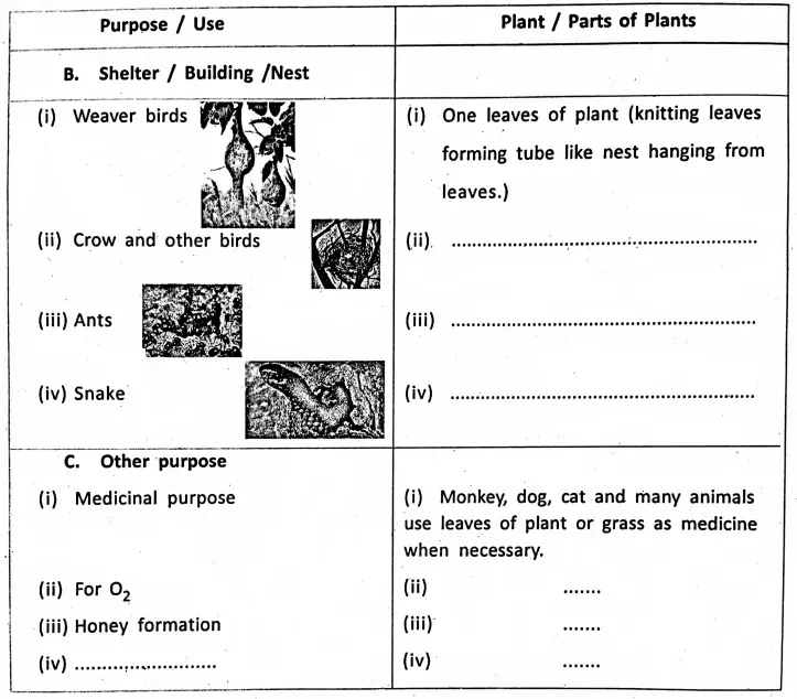 WBBSE Notes For Class 6 General Science And Environment Chapter 1 Interdependence Of Organisms And The Environment Purpose Plants Parts .