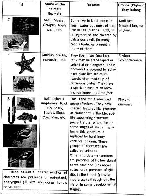 WBBSE Notes For Class 6 General Science And Environment Chapter 10 Biodiversity And Its Classification Animals names , features and examples 2