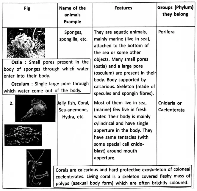 WBBSE Notes For Class 6 General Science And Environment Chapter 10 Biodiversity And Its Classification Animals names , features and examples