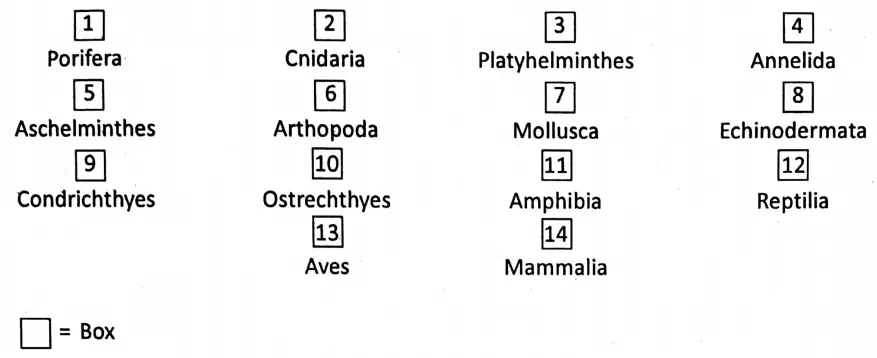 WBBSE Notes For Class 6 General Science And Environment Chapter 10 Biodiversity And Its Classification Phylum class