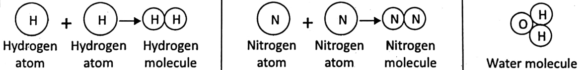 WBBSE Notes For Class 6 General Science And Environment Chapter 3 Element Compound And Mixture Atoms And Molecules
