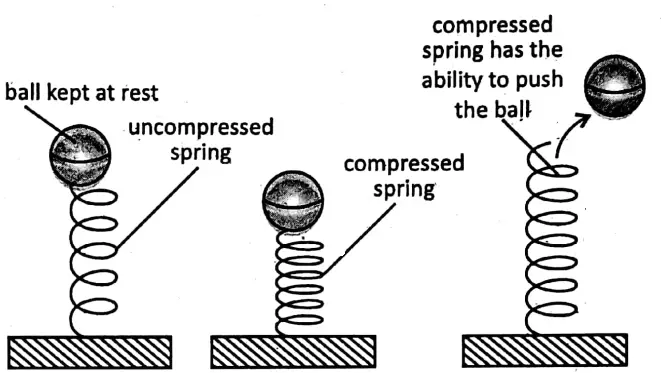 WBBSE Notes For Class 6 General Science And Environment Chapter 6 Primary Concept Of Force And Energy Ball placed on spring