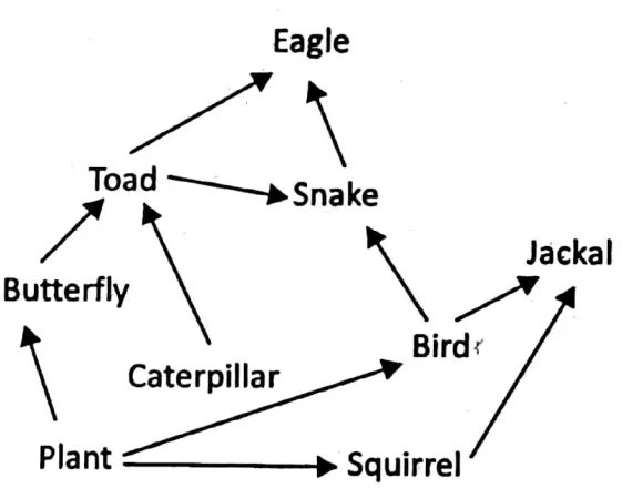 WBBSE Notes For Class 6 General Science And Environment Chapter 6 Primary Concept Of Force And Energy Food Web