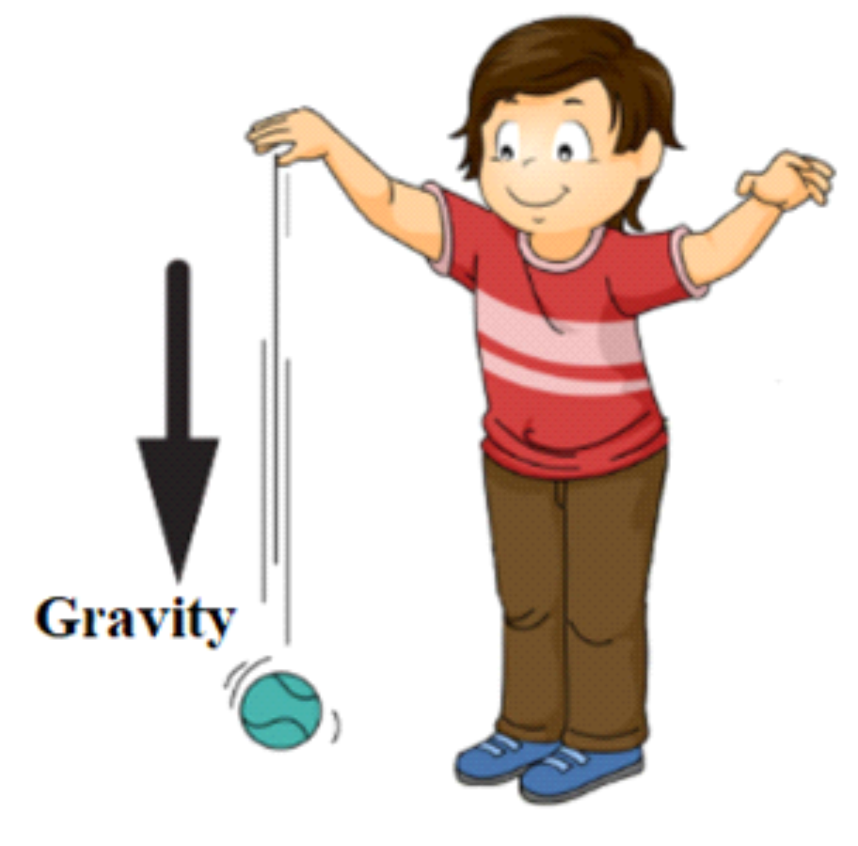 WBBSE Notes For Class 6 General Science And Environment Chapter 6 Primary Concept Of Force And Energy Gravitational force