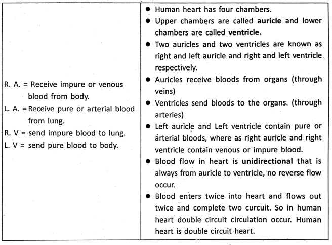 WBBSE Notes For Class 6 General Science And Environment Chapter 8 The Human Body Blood