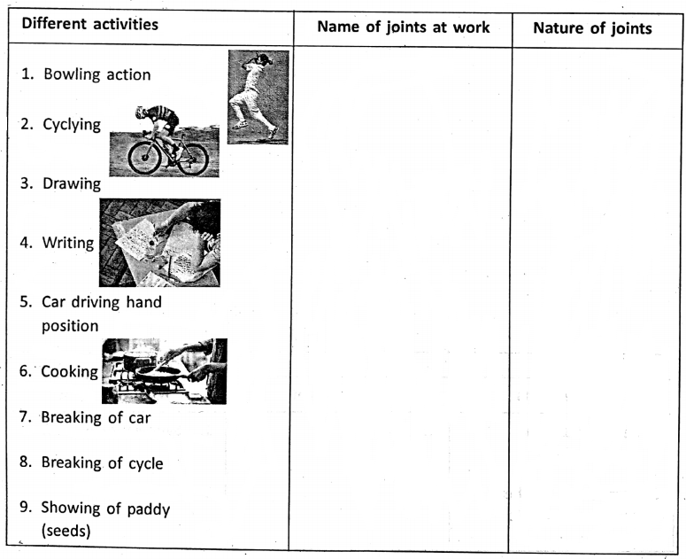 WBBSE Notes For Class 6 General Science And Environment Chapter 8 The Human Body Different movements