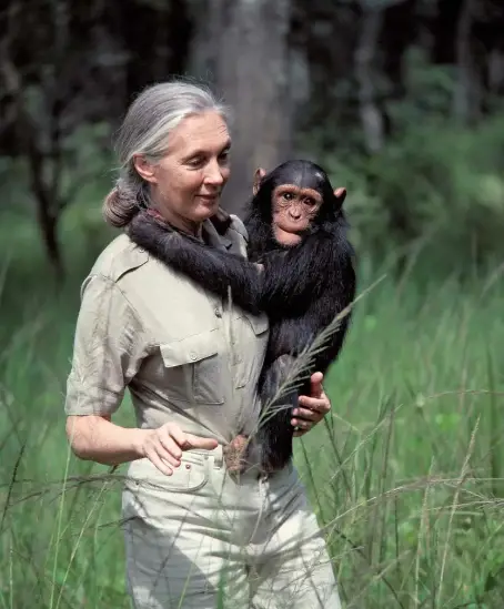 WBBSE Notes For Class 6 General science And Environment Chapter 11 Habits And Habitats Of Some Important Animals Jane Goodall