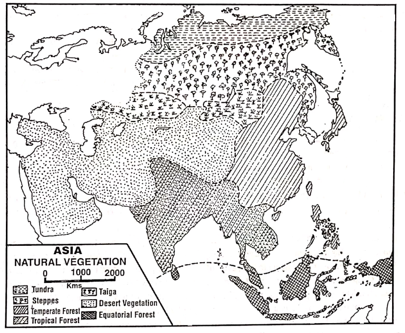 WBBSE Solution For Class 7 Geography Chapter 9 Continent Of Asia Natural Vegetation of Asia