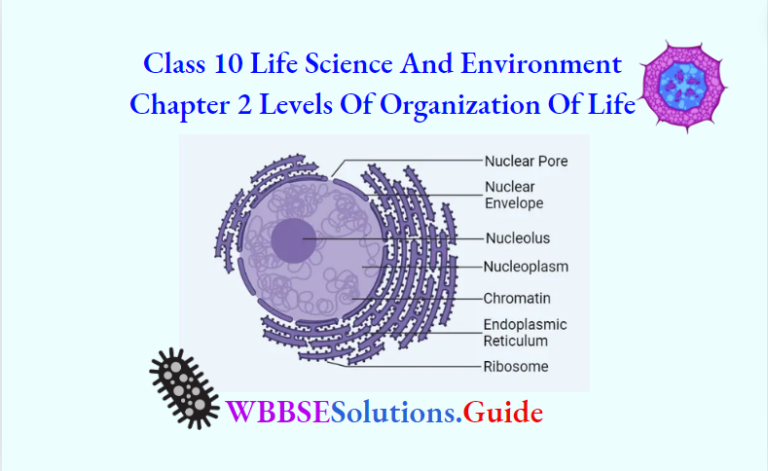 WBBSE Solutions For Class 10 Life Science Chapter 2 Levels Of ...