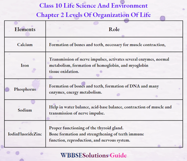 WBBSE Solutions For Class 10 Life Science Chapter 2 Levels Of ...