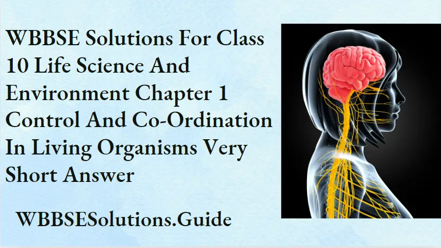 WBBSE Solutions For Class 10 Life Science And Environment Chapter 1 Control And Co-Ordination In Living Organisms Very Short Answer