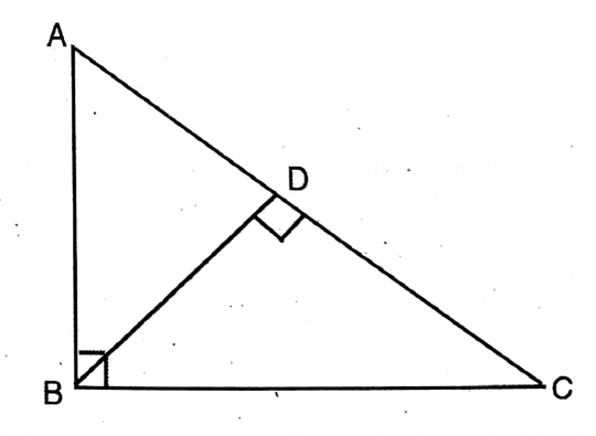 WBBSE Solutions For Class 10 Maths Chapter 18 Similarity 14