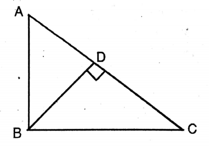 WBBSE Solutions For Class 10 Maths Chapter 18 Similarity 15