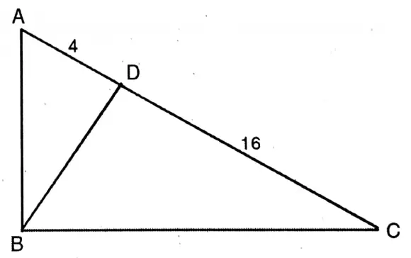 WBBSE Solutions For Class 10 Maths Chapter 18 Similarity 2