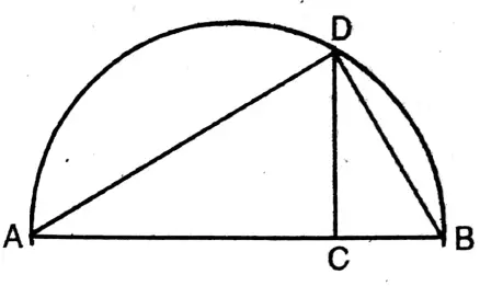 WBBSE Solutions For Class 10 Maths Chapter 18 Similarity 4