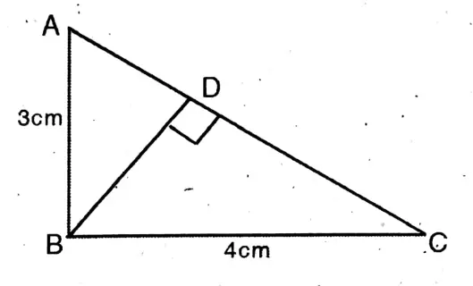 WBBSE Solutions For Class 10 Maths Chapter 22 Pythagoras Theorem 40