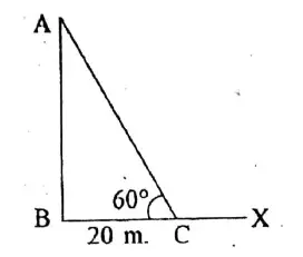 WBBSE Solutions For Class 10 Maths Chapter 25Application Of Trigonometric Ratios Heights & Distances 1