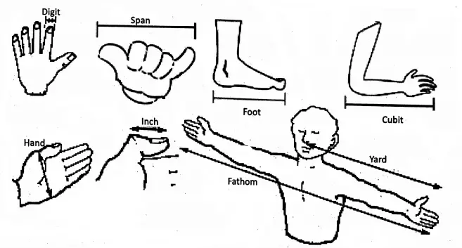 WBBSE Solutions For Class 6 General Science And Environment Chapter 5 Measurement Some ancient units of measurement of length