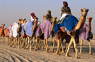 WBBSE Solutions For Class 7 Geography Chapter 10 Continent Of Africa Caravan Of Camels