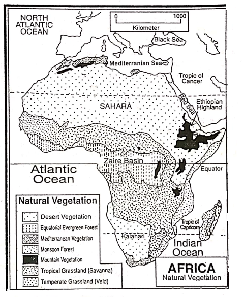 WBBSE Solutions For Class 7 Geography Chapter 10 Continent Of Africa Natural Vegetation Of Africa