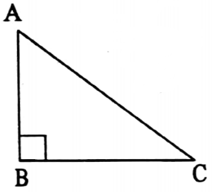WBBSE Solutions For Class 7 Maths Geometry Chapter 3 Properties Of Triangle Right Angled Isosceles Triangle