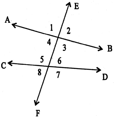 WBBSE Solutions For Class 7 Maths Geometry Chapter 6 Parallel Lines And Transversal Alternate Angles