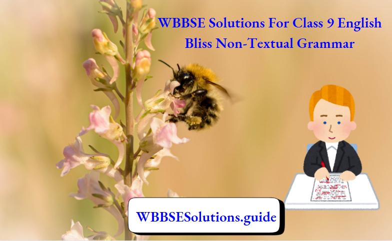 WBBSE Solutions For Class 9 English Bliss Non-Textual Grammar