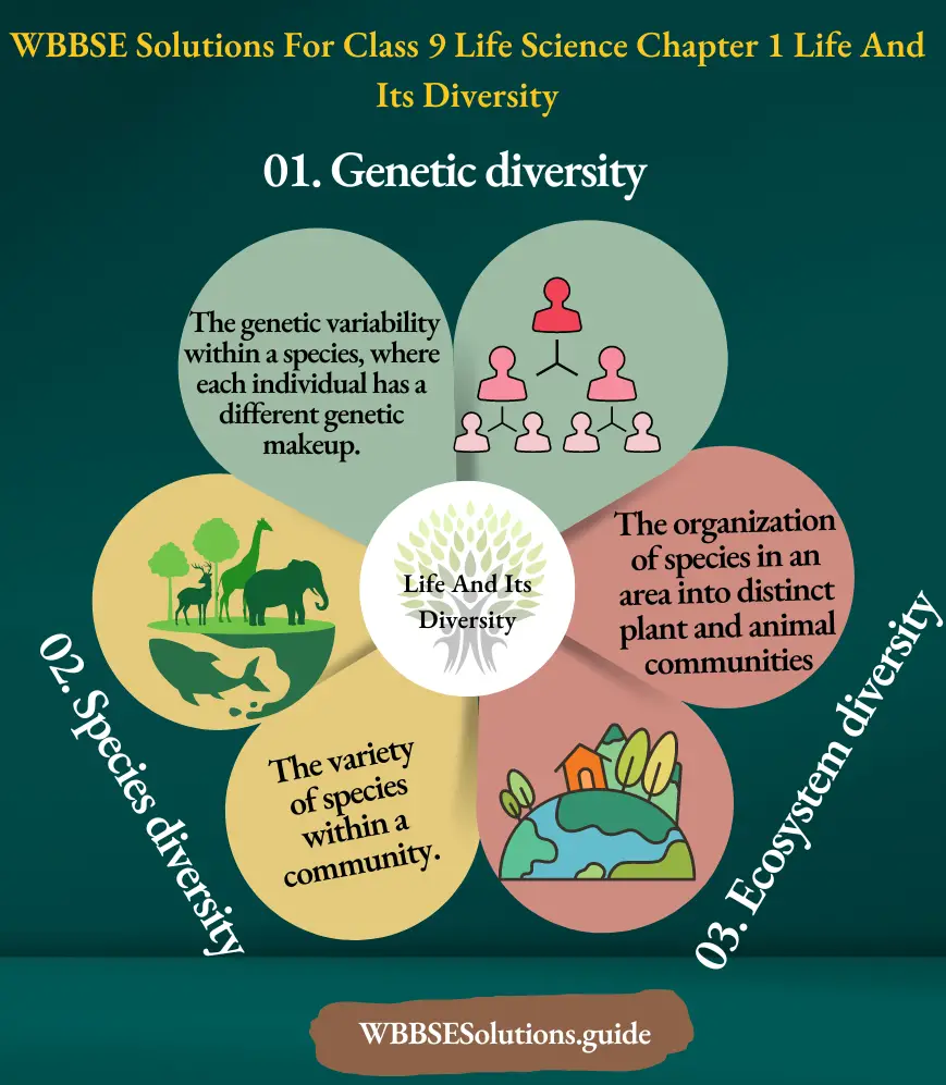 WBBSE Solutions For Class 9 Life Science Chapter 1 Life And Its Diversity