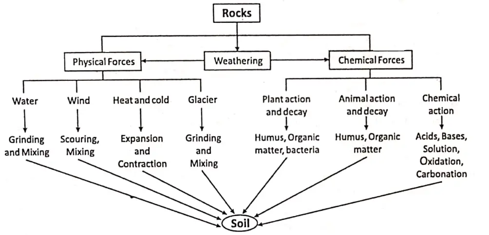 WBBSE Solutions Geography class7 chapter 6 Rock and Soil Formation of soil from rocks