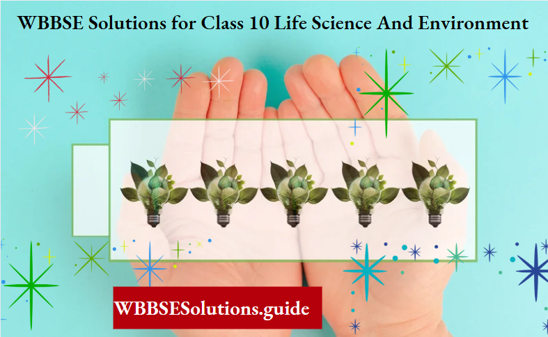 WBBSE Solutions for Class 10 Life Science And Environment