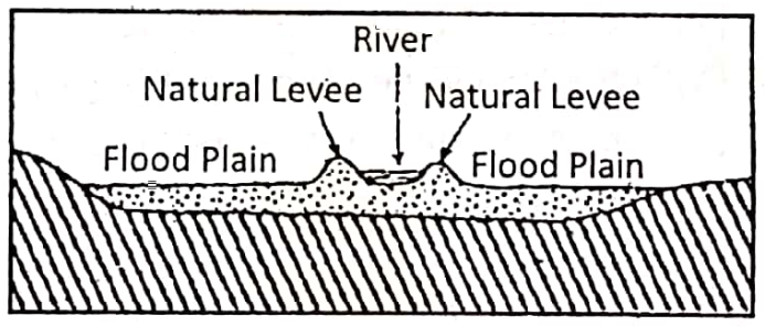 WBBSE solutions geography class7 chapter 5 River Natural levee and flood plain