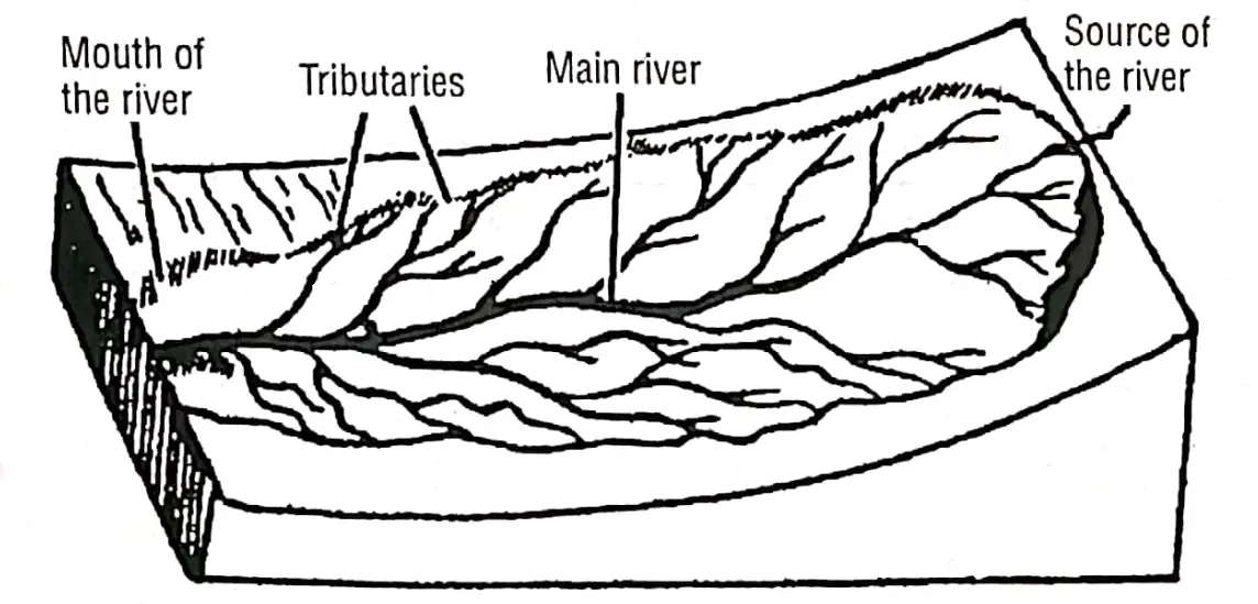 WBBSE solutions geography class7 chapter 5 River Valley and River basin
