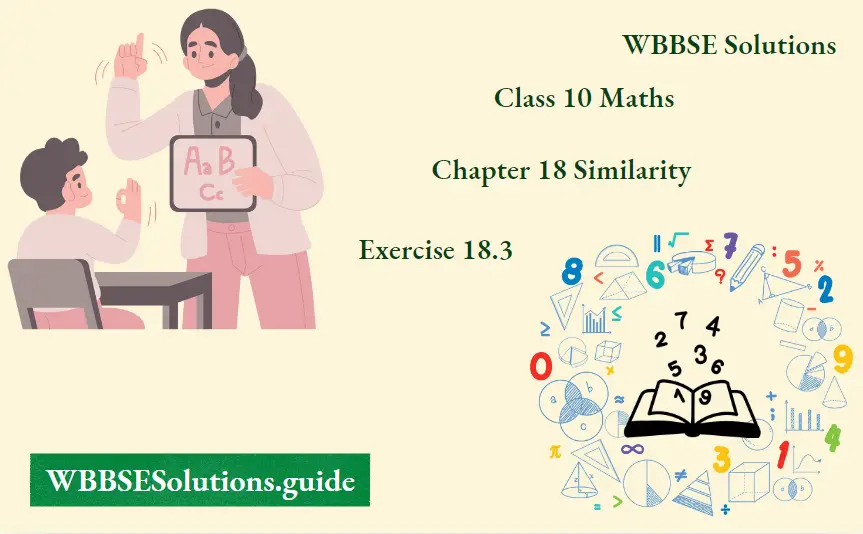 West Bengal Board Class 10 Math Book Solution In English Chapter 18 Similarity Exercise 18.3