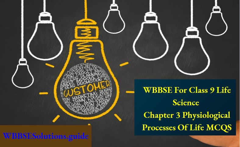 WBBSE For Class 9 Life Science Chapter 3 Physiological Processes Of Life MCQS