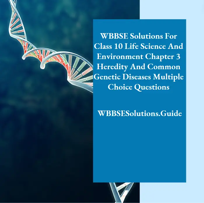 WBBSE Solutions For Class 10 Life Science And Environment Chapter 3 Heredity And Common Genetic Diseases Multiple Choice Questions