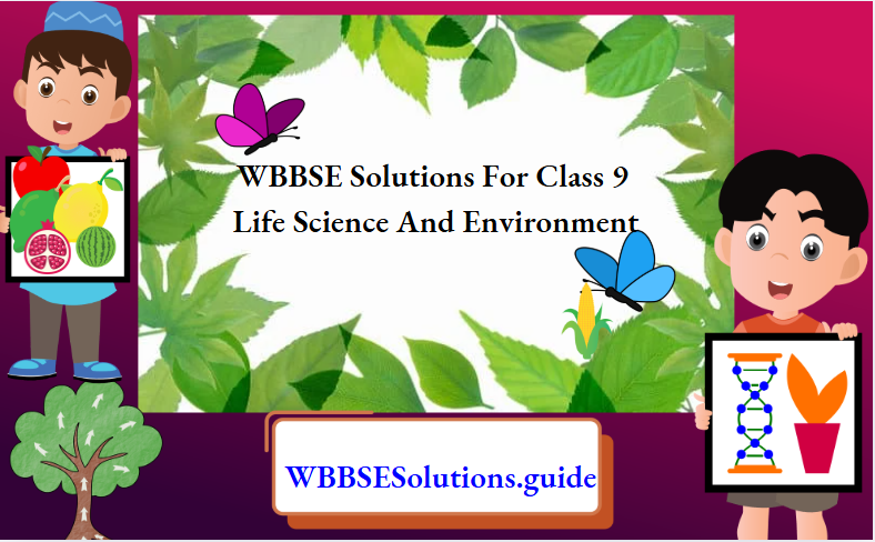 WBBSE Solutions for Class 9 Life Science And Environment