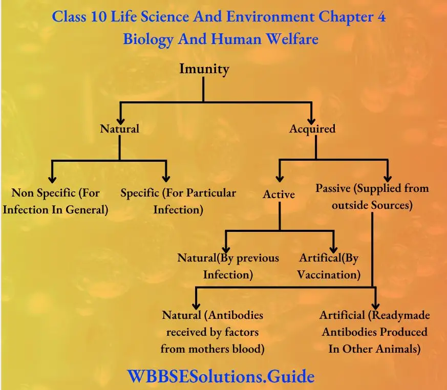 Class 10 Life Science And Environment Chapter 4 Biology And Human Welfare Immunity
