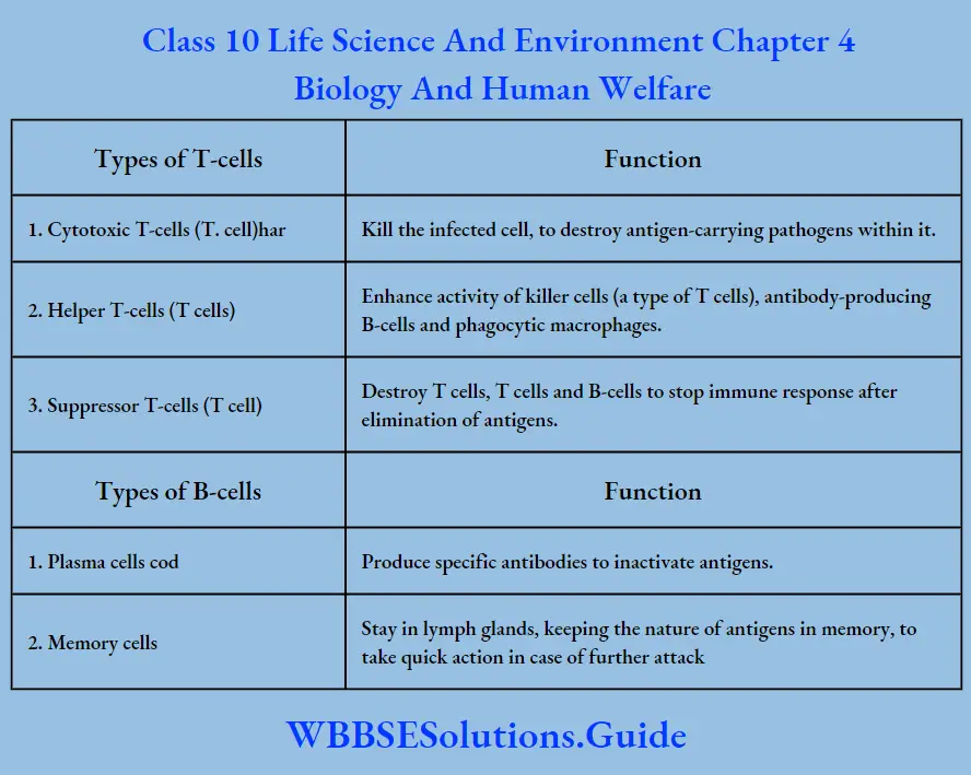 Class 10 Life Science And Environment Chapter 4 Biology And Human Welfare The Different Types Of Cells