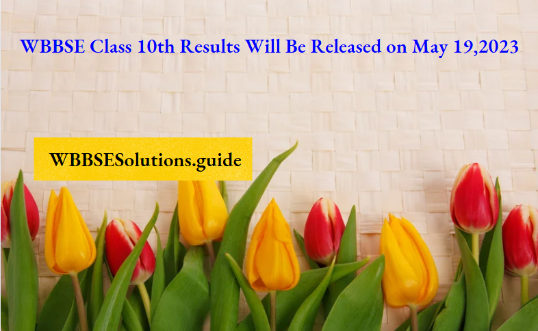 WBBSE Class 10th Results Will Be Released on May 19,2023