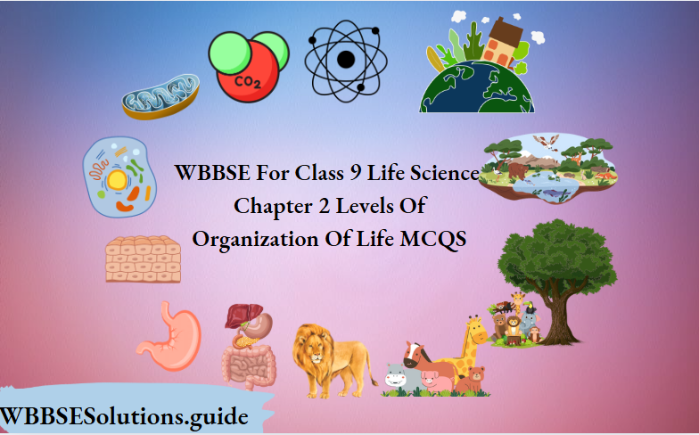 WBBSE For Class 9 Life Science Chapter 2 Levels Of Organization Of Life MCQS