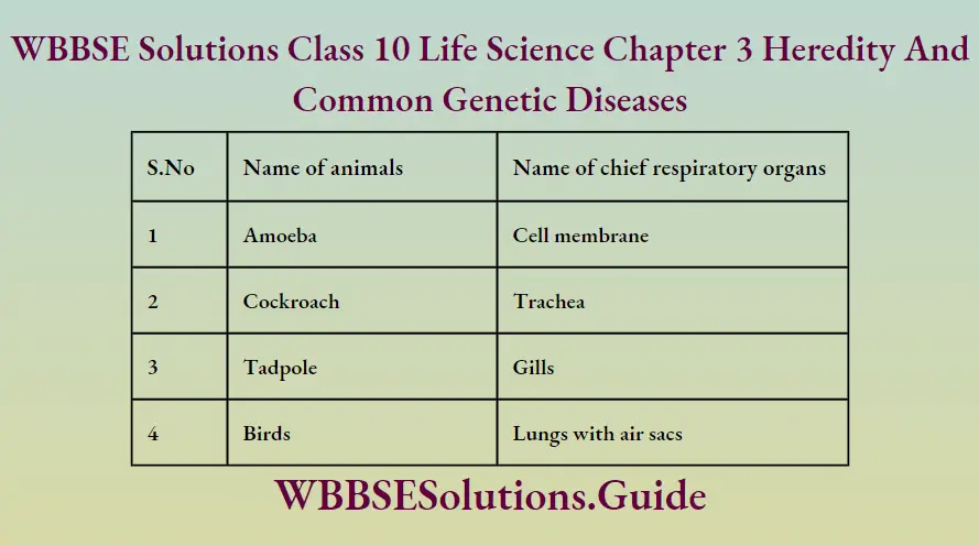 WBBSE Solutions Class 10 Life Science Chapter 2 Levels Of Organization Of Life Long Answer Questions Name Of Respiratory Organs