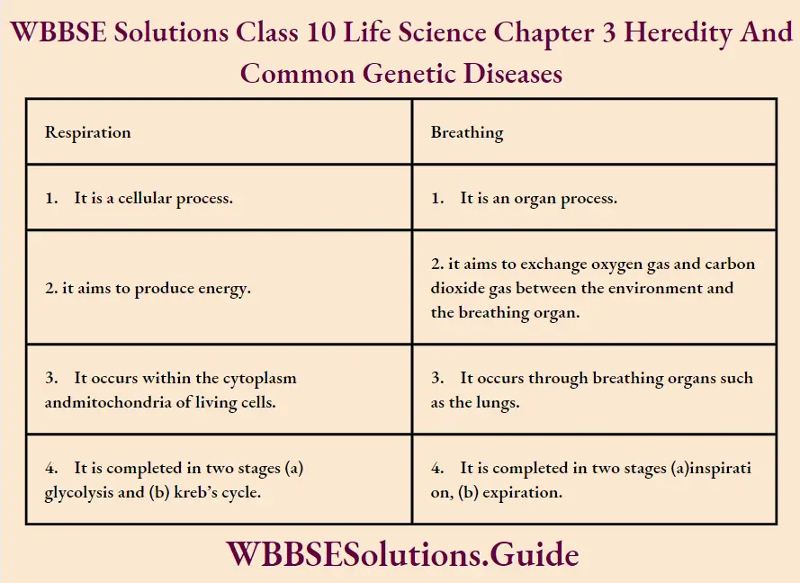 WBBSE Solutions Class 10 Life Science Chapter 3 Heredity And Common Genetic Diseases Short Answer Questions Difference Between Breathing And Respiration